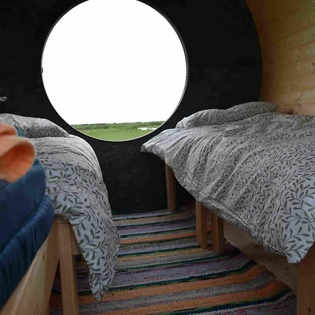 100xzoom * Pikla